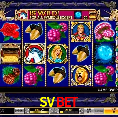 SVBET São Paulo - All Bonuses